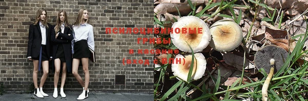 кокс Алзамай