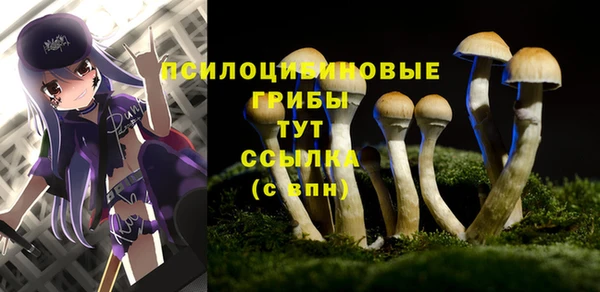 тгк Алексин